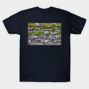 Moss and Ferns On A Slate Wall T-Shirt